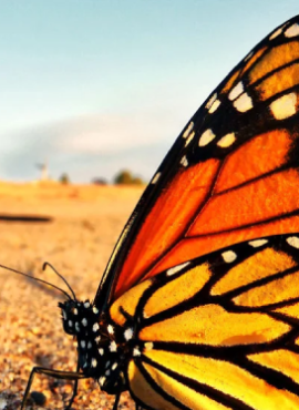Emergency first aid at work