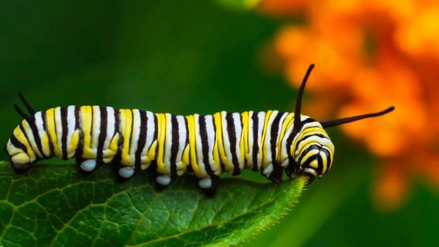 4edcfc70a5236e6f916ef0363c56063a